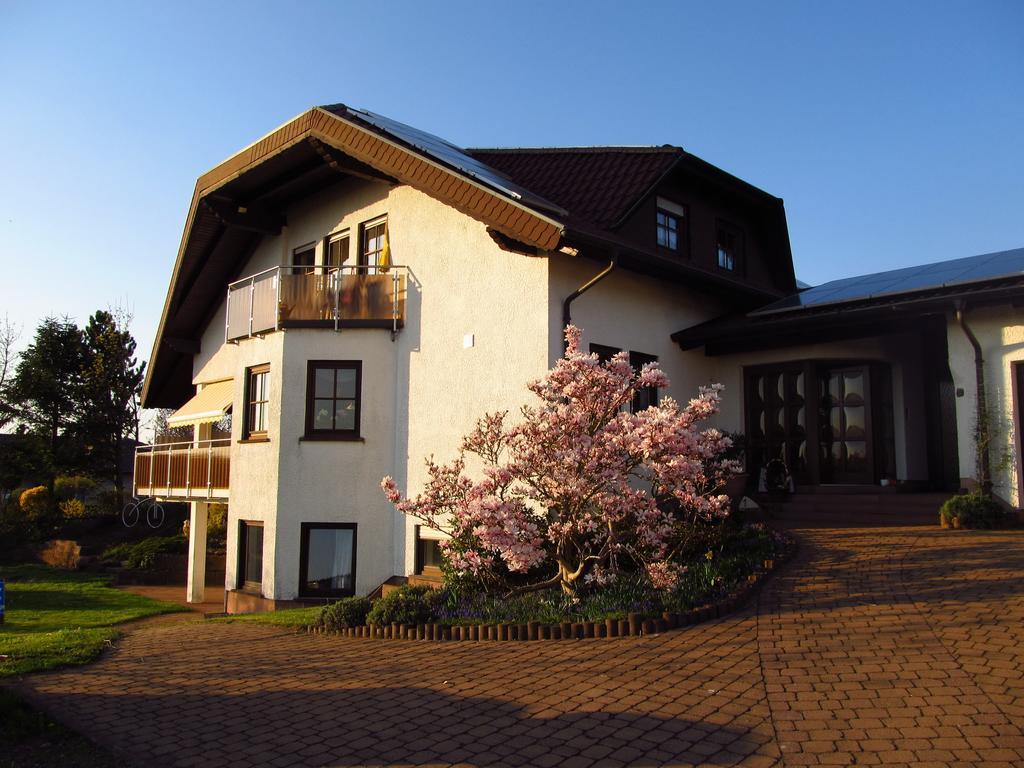 Schmidt`s Eppelborner Ferienwohnung Zimmer foto